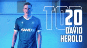 Soccer Goal GIF by Karlsruher SC