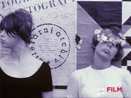 criterion collection daisies GIF by FilmStruck