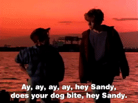 the adventures of pete and pete season number GIF