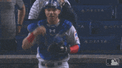 smirk contreras GIF by MLB
