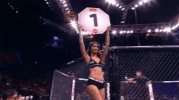 ufc 221 sport GIF by UFC