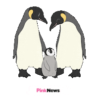 Family Lgbt Sticker by PinkNews