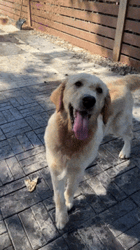 GIF by Organic Bunny
