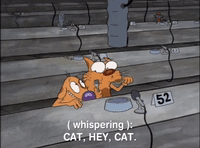 nicksplat GIF