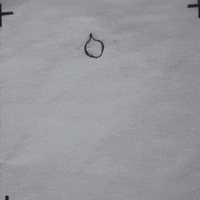 nscad GIF