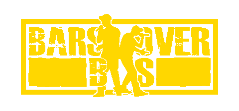 BarsOverBs giphyupload vinyl underground hip hop rap label Sticker