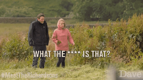 Jon Richardson GIF