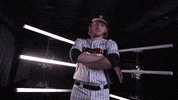 University Of Louisville Baseball GIF by Louisville Cardinals
