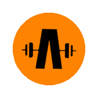 Workout Sticker by Anshel Fitness