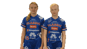 Floorball Salibandy Sticker by F-liiga