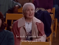season 2 netflix GIF by Gilmore Girls 