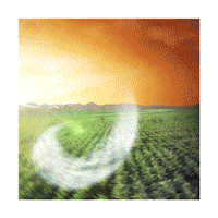 Agro Agronegocio Sticker by IHARA