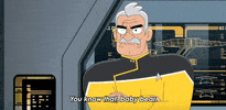 Season 3 Baby Bear GIF by Paramount+