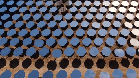 tulsimo giphygifmaker GIF