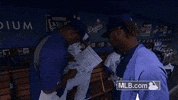 la lol GIF by MLB