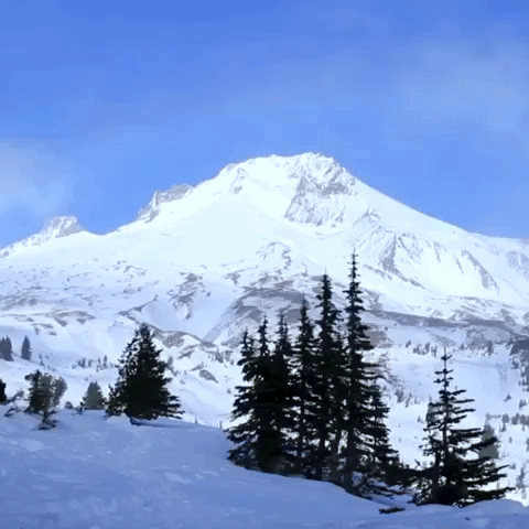 Mt Hood Christmas GIF by Four Rest Films
