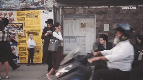 viceland GIF by Hate Thy Neighbor