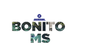 roteirobonitoms animal bonito mergulho arara Sticker