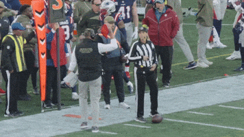 Mike Vrabel Football GIF by New England Patriots