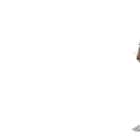 HomeSolutionsofIowa squirrel iowa contractor nutty Sticker