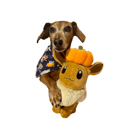 Halloween Pokemon Sticker by Geekster Pets