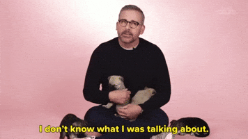 I Don't Know What I Was Talking About 