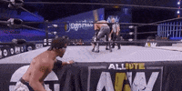 Best Friends Aew On Tnt GIF by All Elite Wrestling on TNT