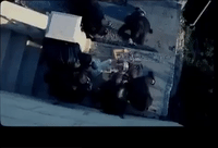 music video mv GIF by Lady Gaga