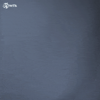 Walk Out Walk In GIF by WTA
