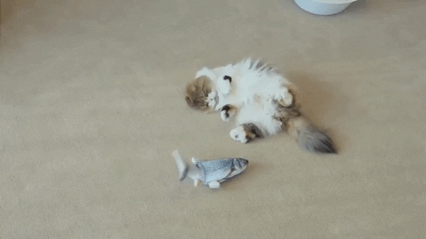 tupromostorecom giphygifmaker GIF