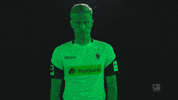 borussia moenchengladbach football GIF by Bundesliga