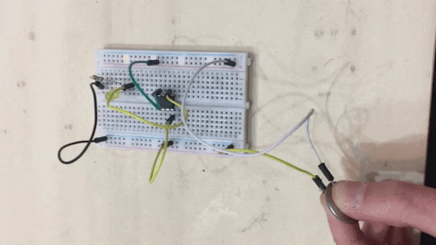 capucinerobert giphyupload GIF