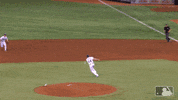 Sport Baseball GIF by MLB Network