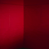 High Five College Sports GIF by Louisville Cardinals