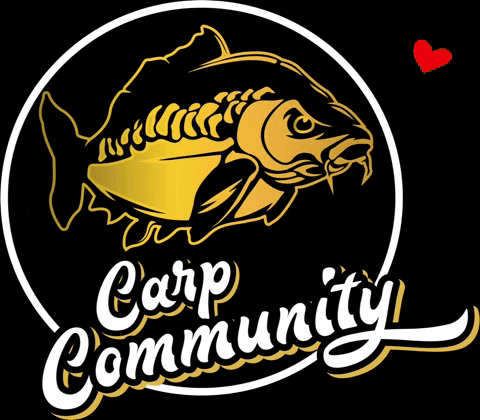 carpcommunity giphyattribution carp carpcommunity GIF