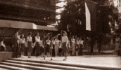 intebold intebold GIF