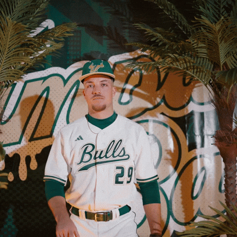 South Florida Baseball GIF by USF Athletics