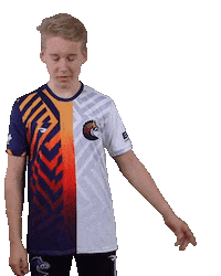 Esports Zebra Sticker by BS+COMPETITION