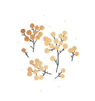 Christmas Snow Sticker