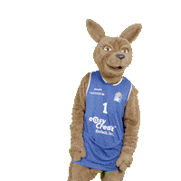 social-media-easycredit basketball ruhig easycredit ellihoop Sticker