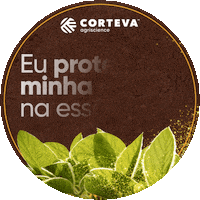 Nematoides Sticker by Corteva Brasil
