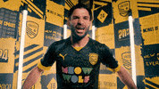 Celebration Hype GIF by New Mexico United