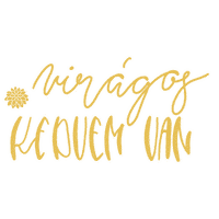 Text Gold Sticker by Textilekszer