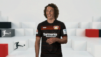happy bayer leverkusen GIF by Bundesliga