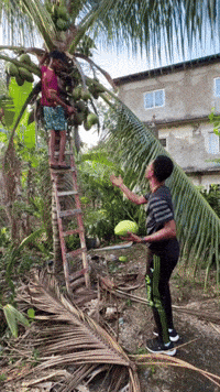Coconut Milk Coco GIF