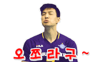 Volleyball Vleague Sticker by kovopr