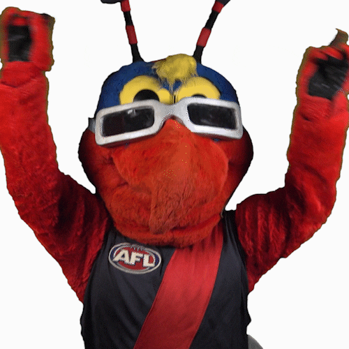 Aussie Rules Sport GIF by Essendon FC