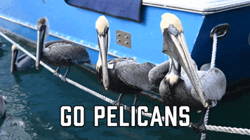 Go Pelicans
