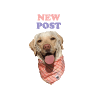 New Post Luna Sticker