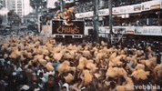 Carnaval Salvador GIF by TVE Bahia